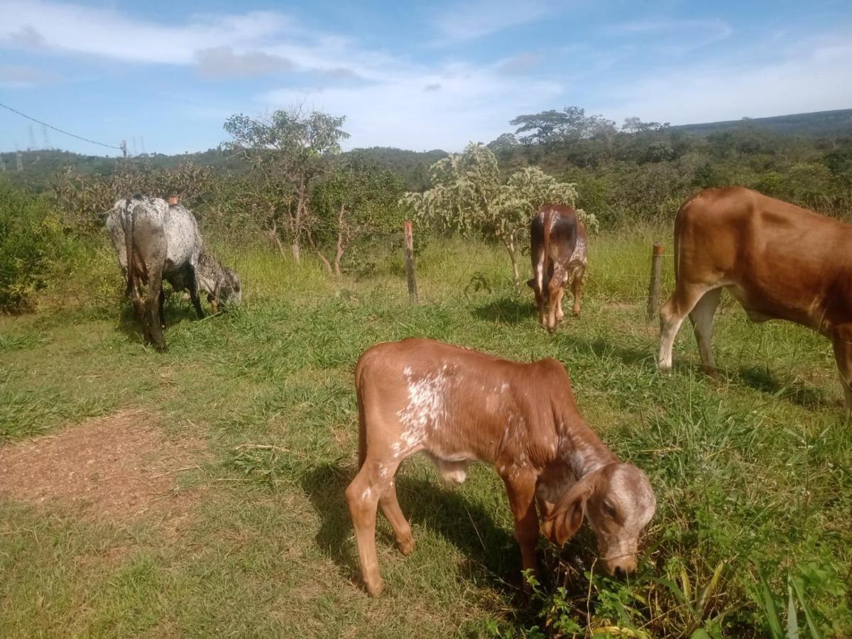 Chale Aconchegante, Pertinho Da Cidade E Conectada A Natureza Бразилия Екстериор снимка